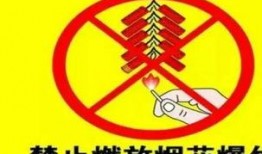 宾阳最新新闻爆料炮竹,揭秘传统工艺与现代创新的完美融合