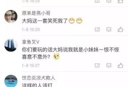 郑州公安局爆料信息最新,揭秘重大案件侦破过程